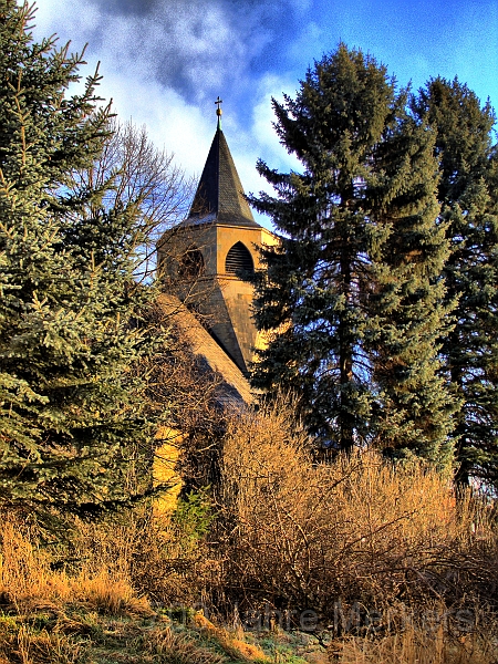 M-Kirche-HDR_4.jpg - Bild aus den Büschen