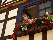 P7053646