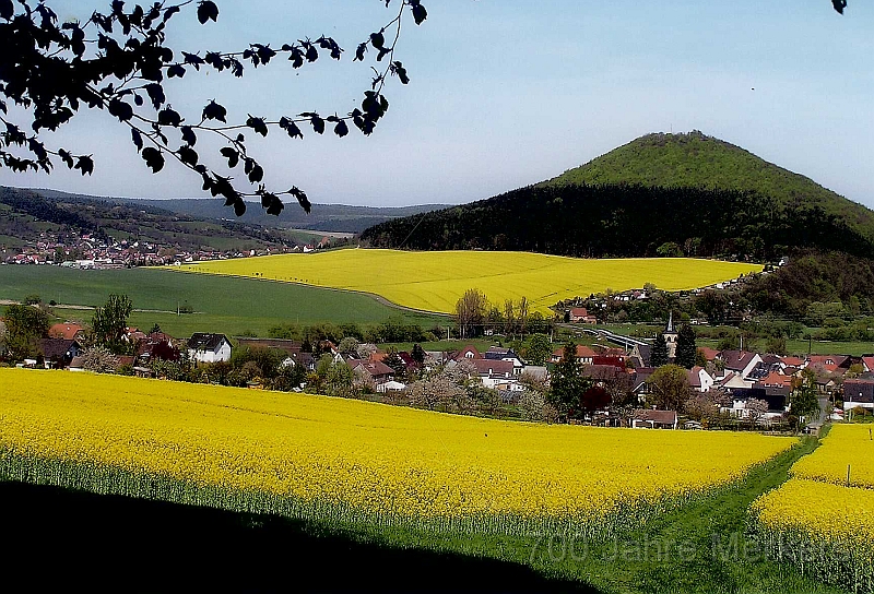 Merkers_heute_03.jpg - ... zur Rapsblüte