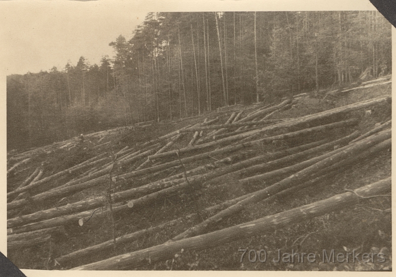 14.jpg - Westseite Stand der Arbeiten im Juni 1949 -01-